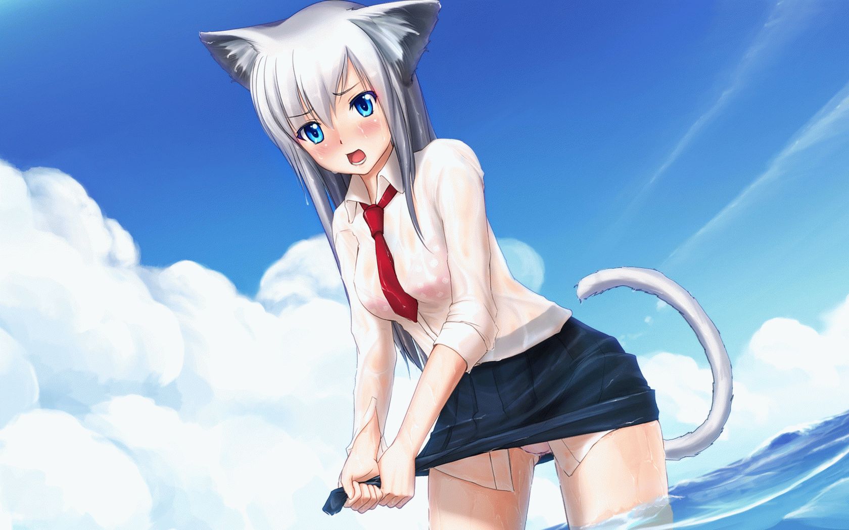 Картинки аниме девушек кошек.