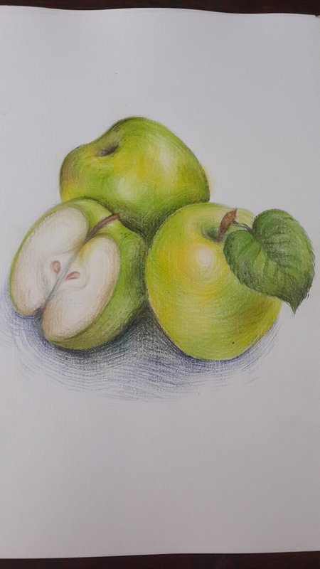 Рисунки для срисовки цветными карандашами