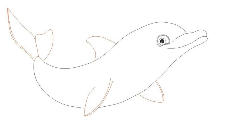 Дельфин: рисунок карандашом