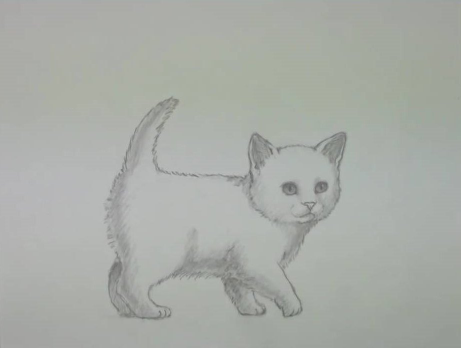 Рисовать котят карандашом