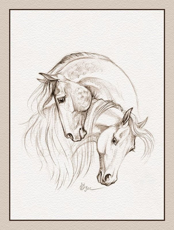 Лошадь: рисунок карандашом