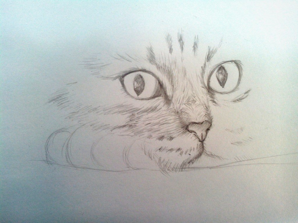 Рисунок Любой Фотографии