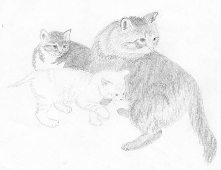 Как нарисовать маму с кошкой