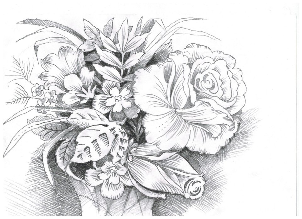 Рисунки для срисовки графика
