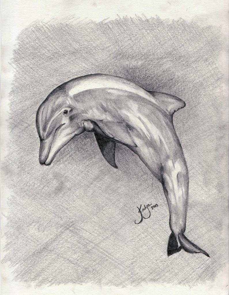 Свободная тема изо 7 класс легкие. Рисунки карандашом. Дельфин карандашом. Дельфин рисунок карандашом. Красивые рисунки на свободную тему.