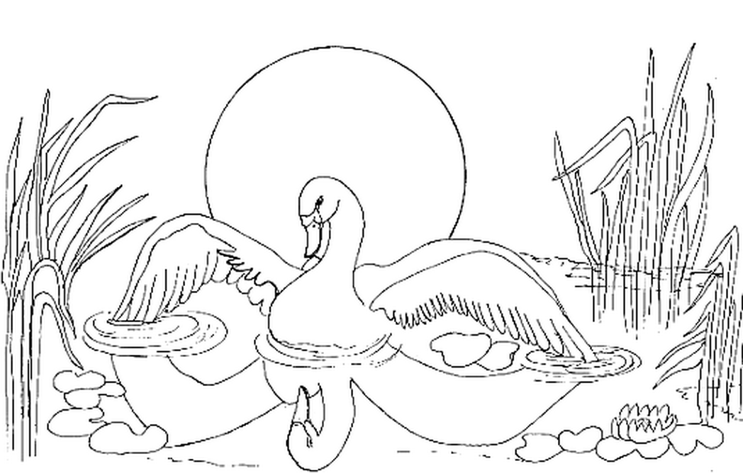 Гадкий утенок карандашом. Иллюстрации к сказкам Андерсена Гадкий утенок карандашом. Раскраски к сказке Гадкий утенок Андерсена. Гадкий утенок лебедь.