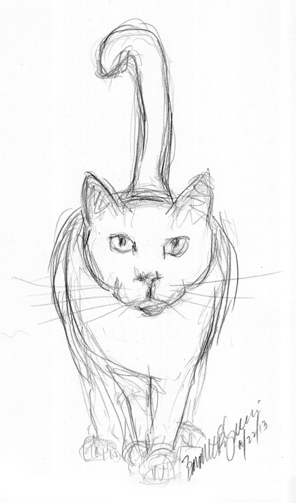 Рисунки карандашом кошек