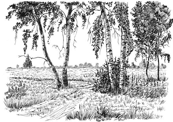 Рисунок лесостепи карандашом