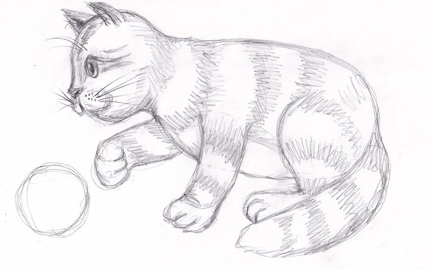 Нарисовать кота карандашом