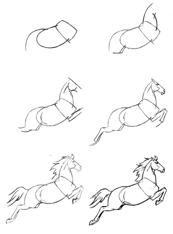 Лошадь: рисунок карандашом