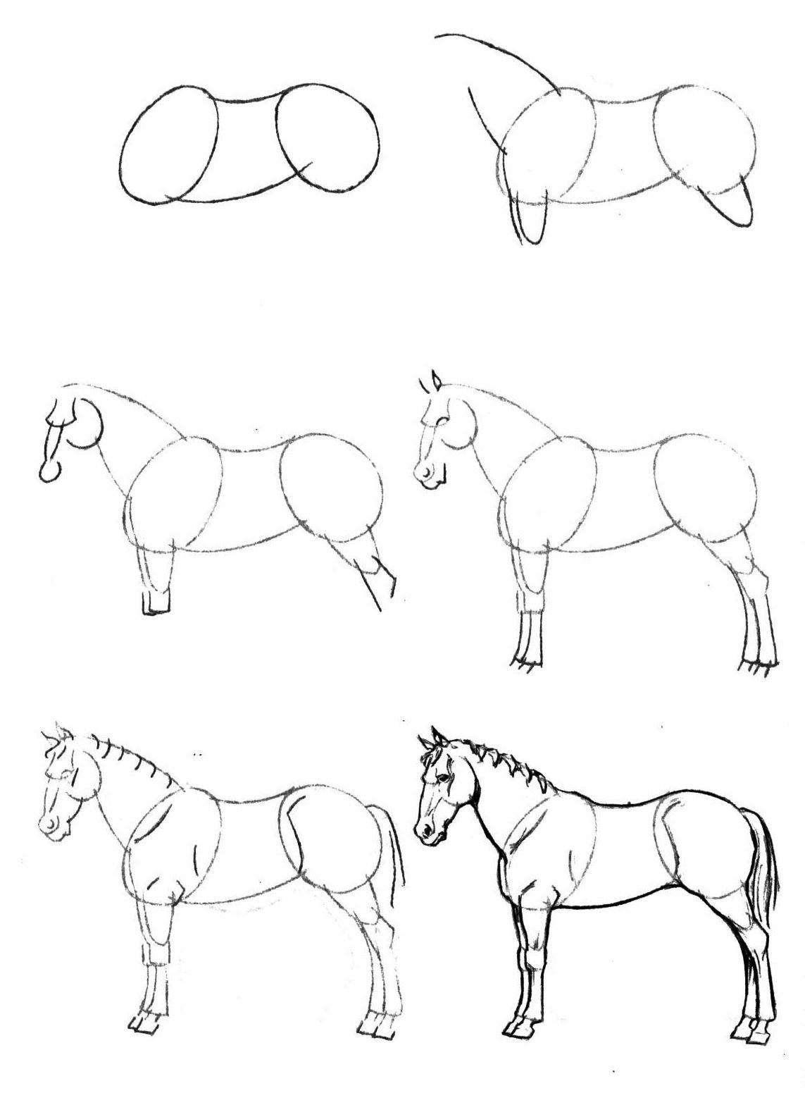 Поэтапное рисование лошади карандашом