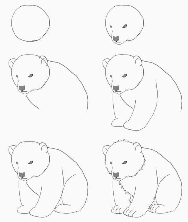 Котят, картинки медведей для срисовки