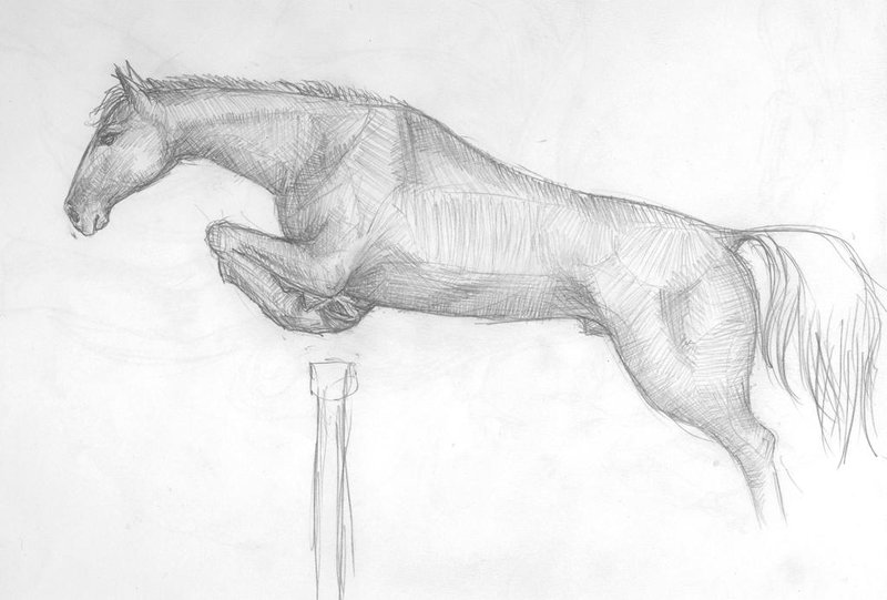 Лошадь: рисунок карандашом