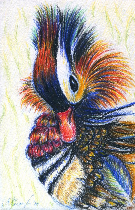 Рисунки для срисовки цветными карандашами