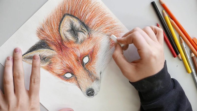 Рисунки для срисовки цветными карандашами