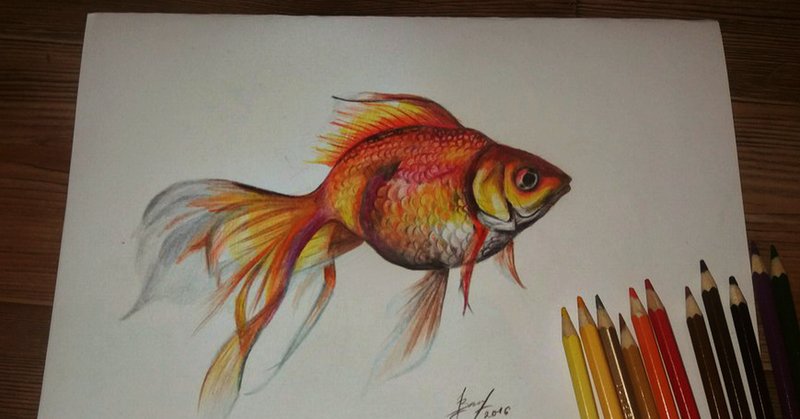 Рисунки для срисовки цветными карандашами