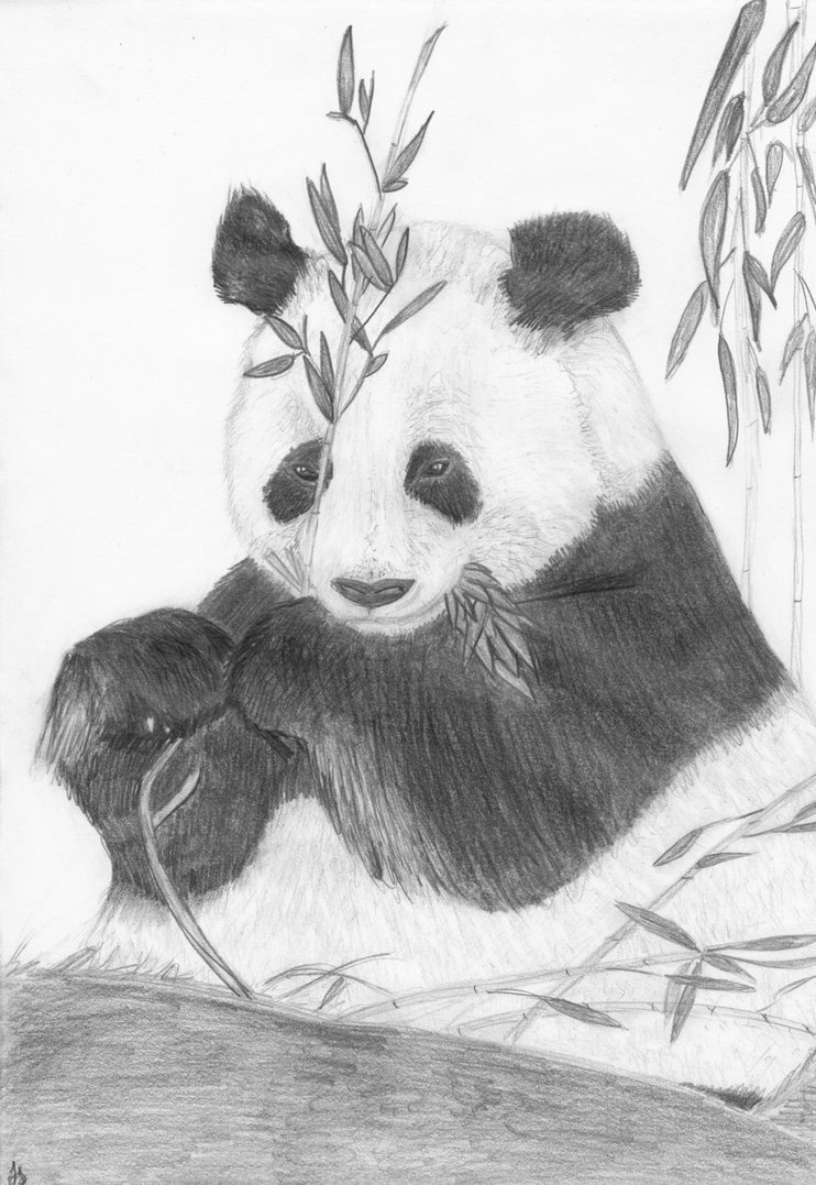 Нарисовать панду карандашом легко