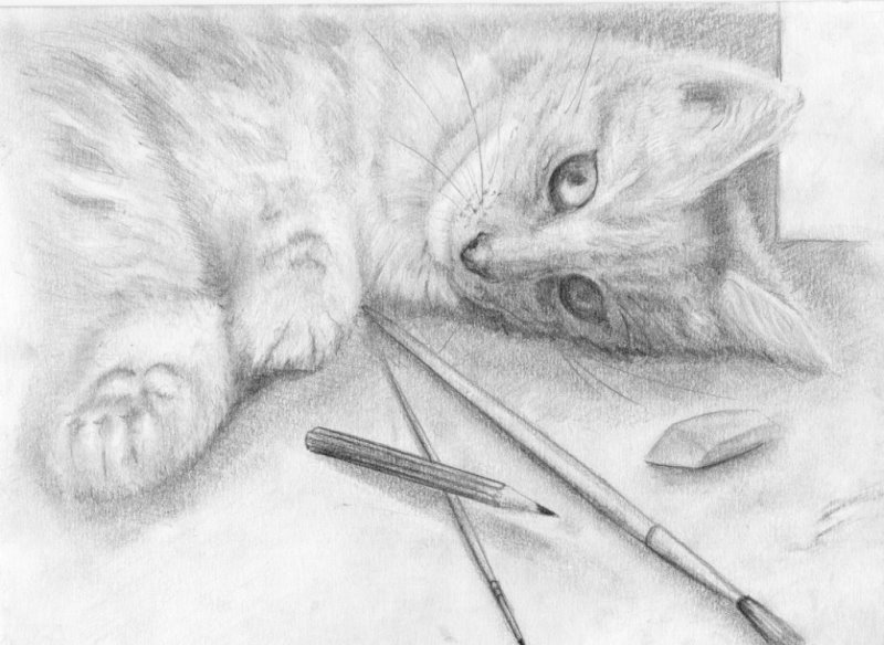 Рисунки на рисование