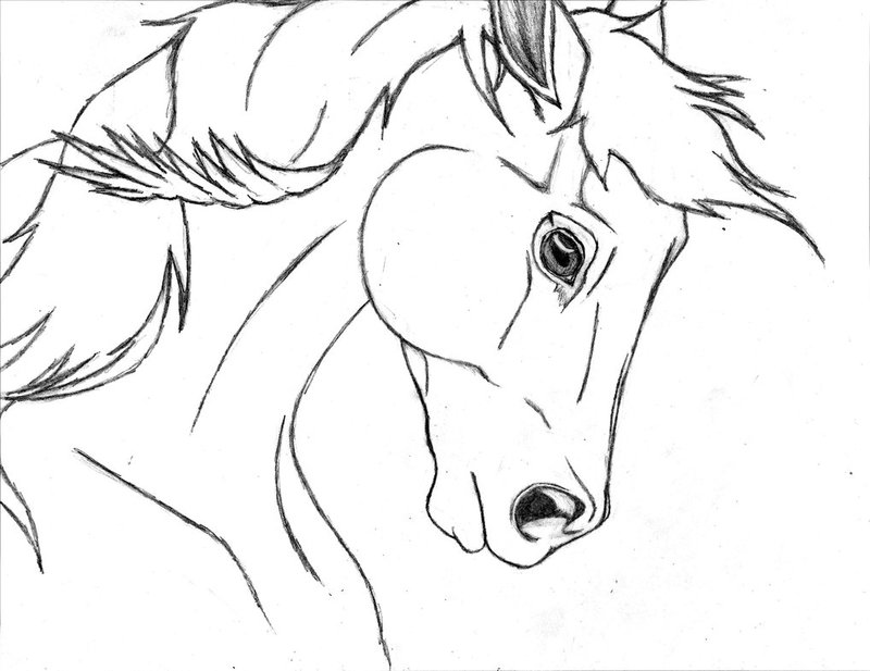 Лошадь: рисунок карандашом