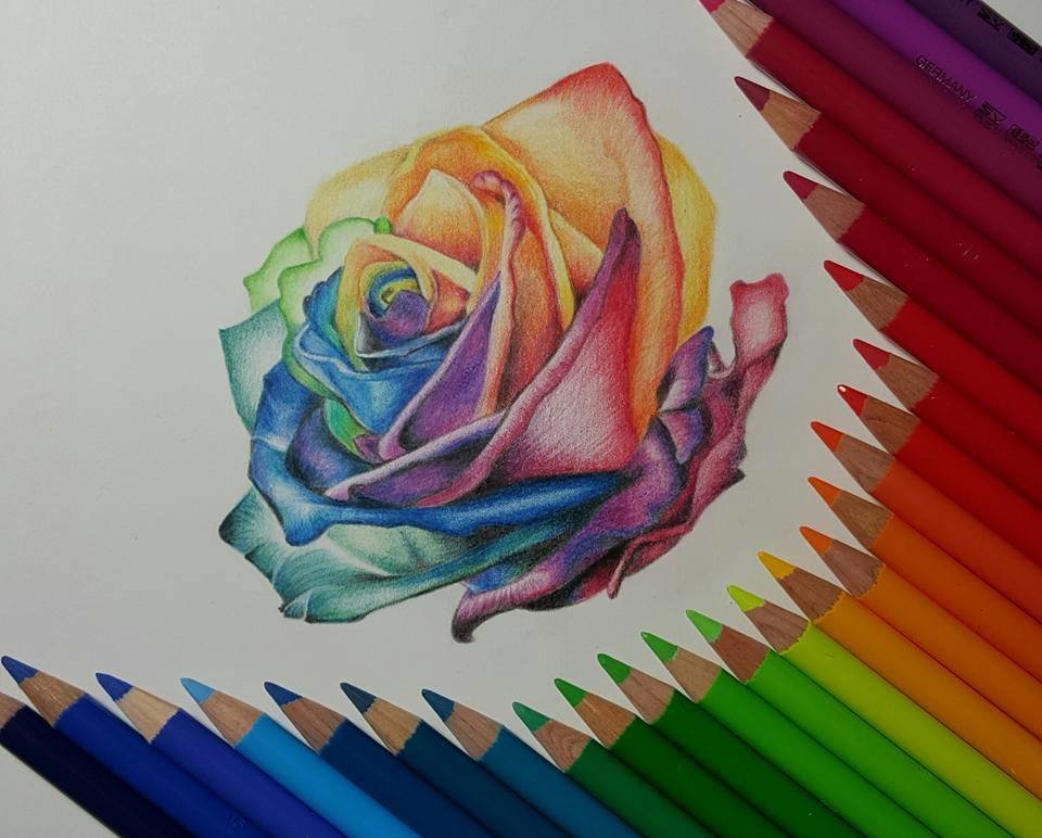 Рисунки цветные красивые