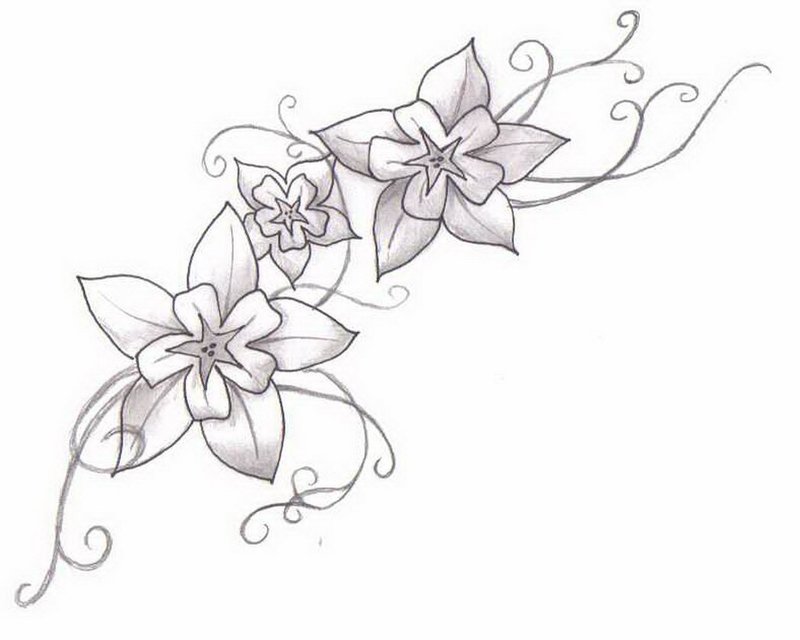Рисунки цветов для срисовки карандашом