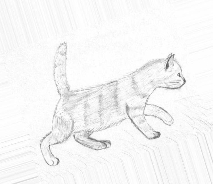 Рисунок карандашом кота 2 класс