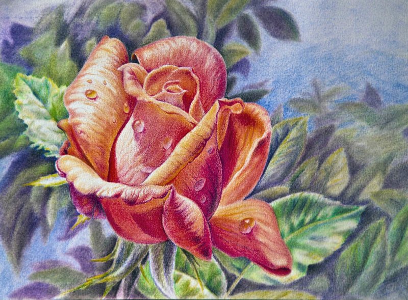 Рисунки для срисовки цветными карандашами