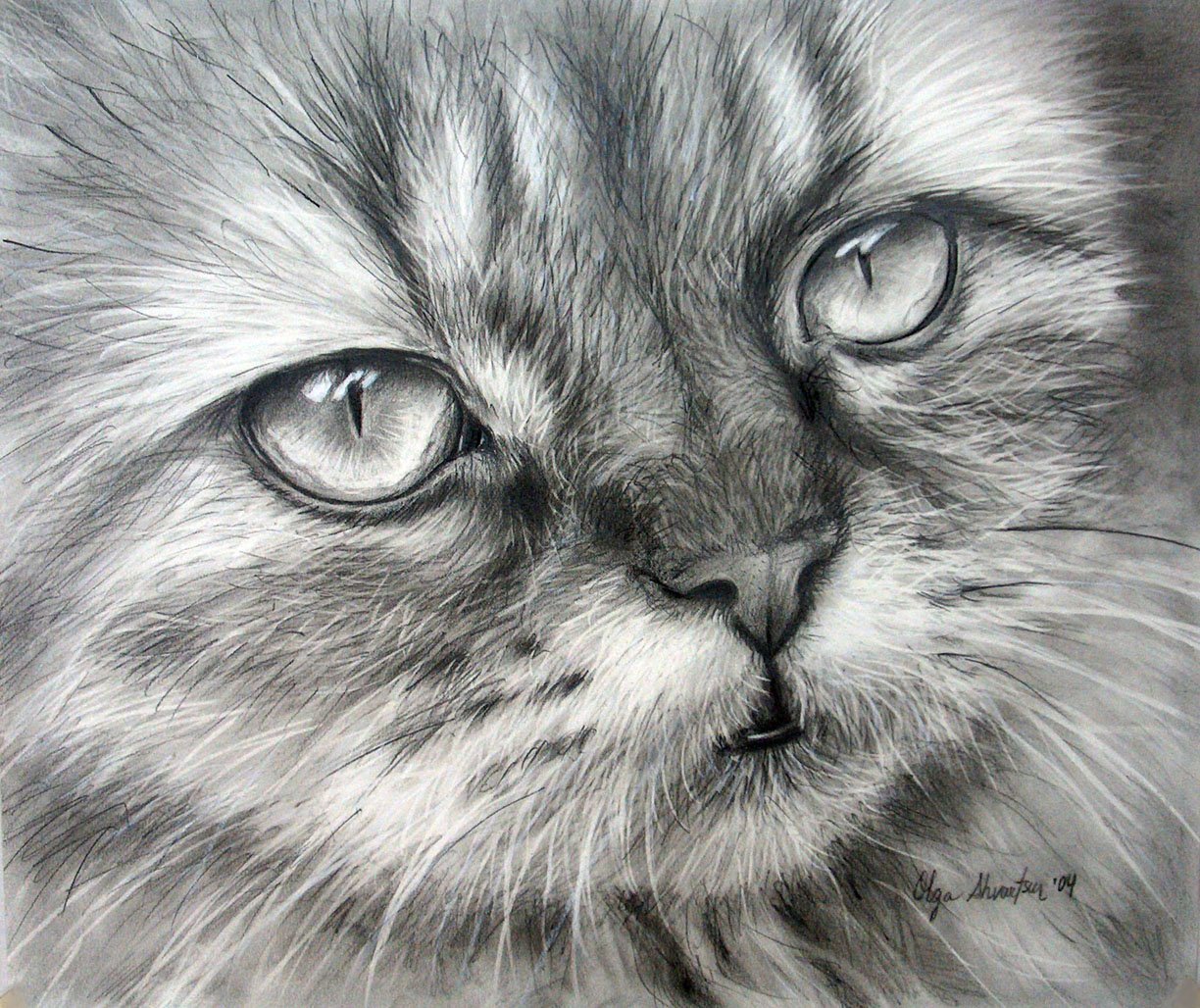 Фотки рисунков. Картины карандашом. Животные карандашом. Кошка карандашом. Красивые картины карандашом.