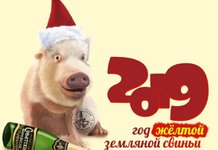 Поздравления с новым годом 2019 свиньи короткие