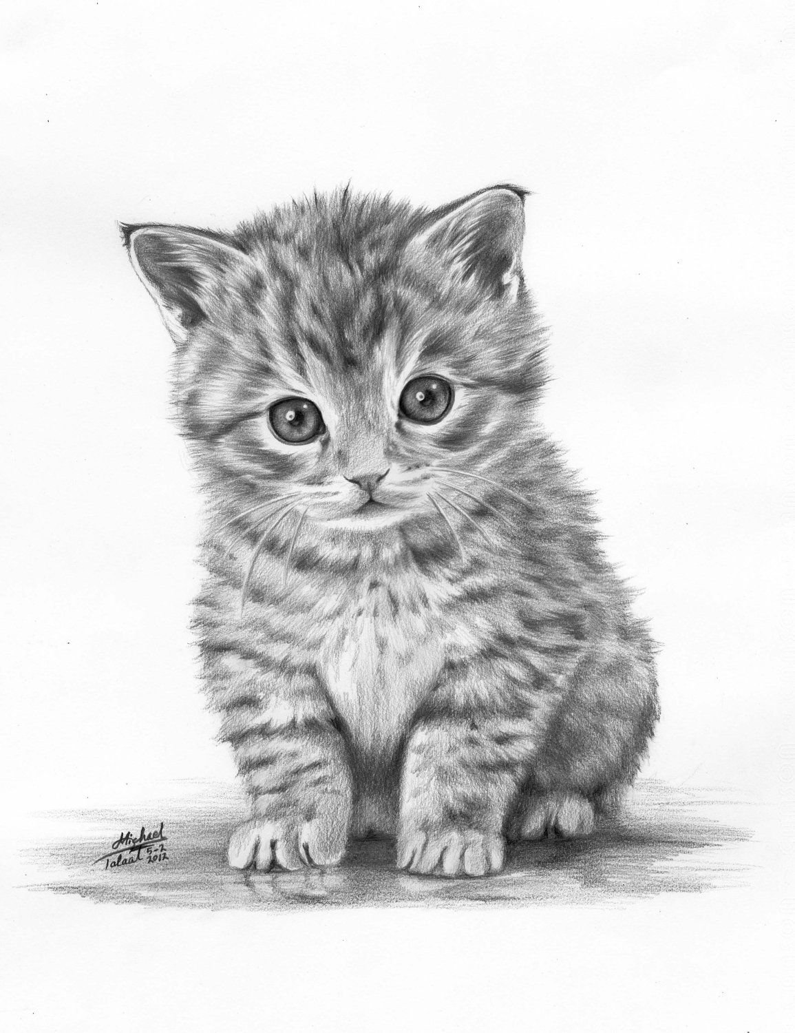Картинка кота рисунок карандашом