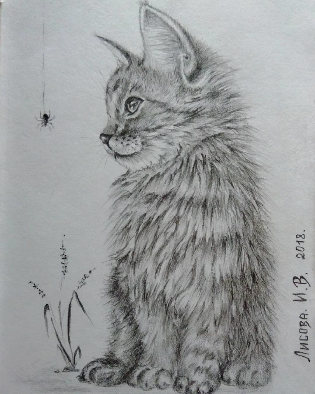 Как нарисовать котенка азбука рисования