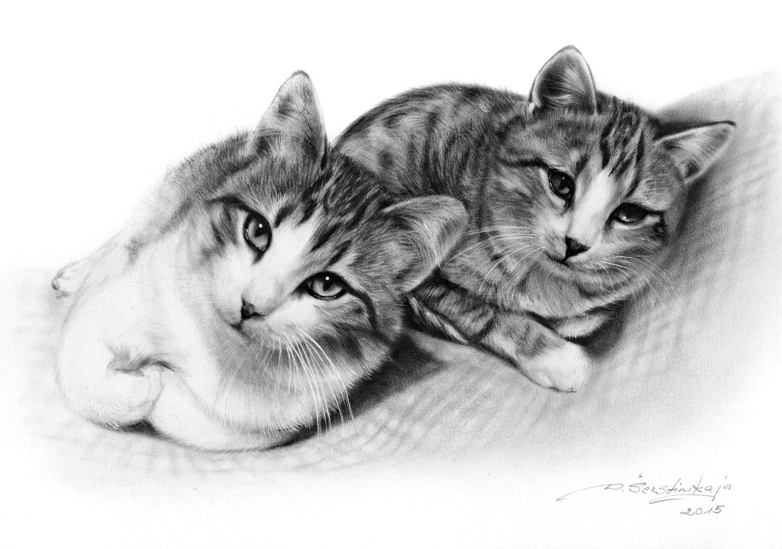 Рисунок два кота карандашом