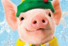 Прикольные поздравления с новым годом 2019 свиньи