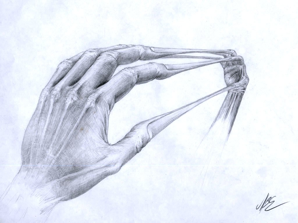 Рисунок рук карандашом легко