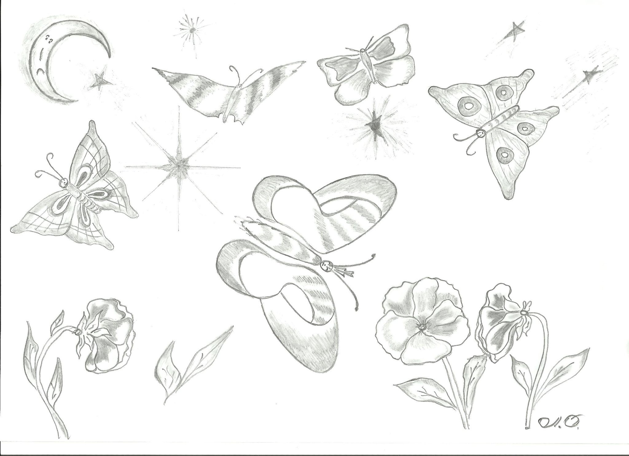 Рисунки бабочек карандашом для срисовки легкие и красивые