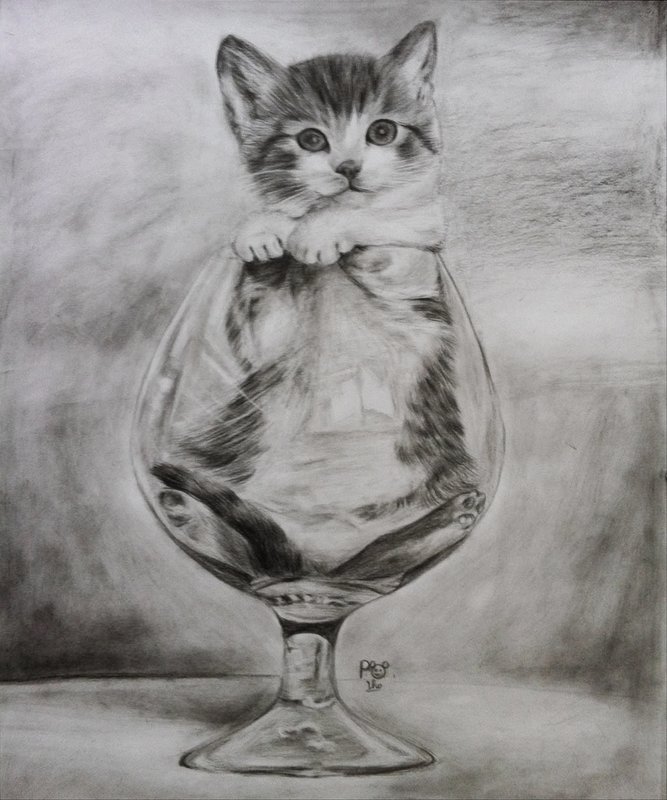 Рисунок карандашом котенка