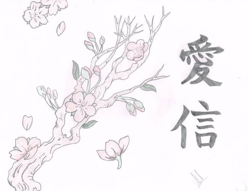 Cherry Blossom Tree Drawing Black And White - Рисунок карандашом: сакура