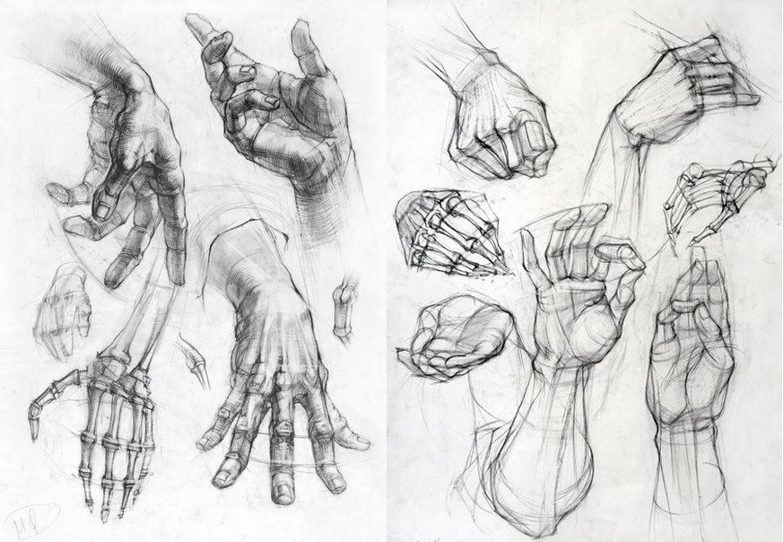 Как рисовать руки анатомия