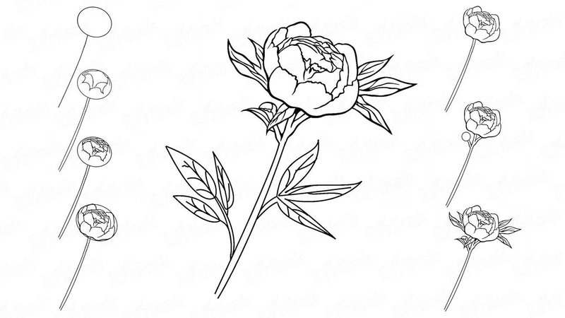 Рисунок карандашом: цветок