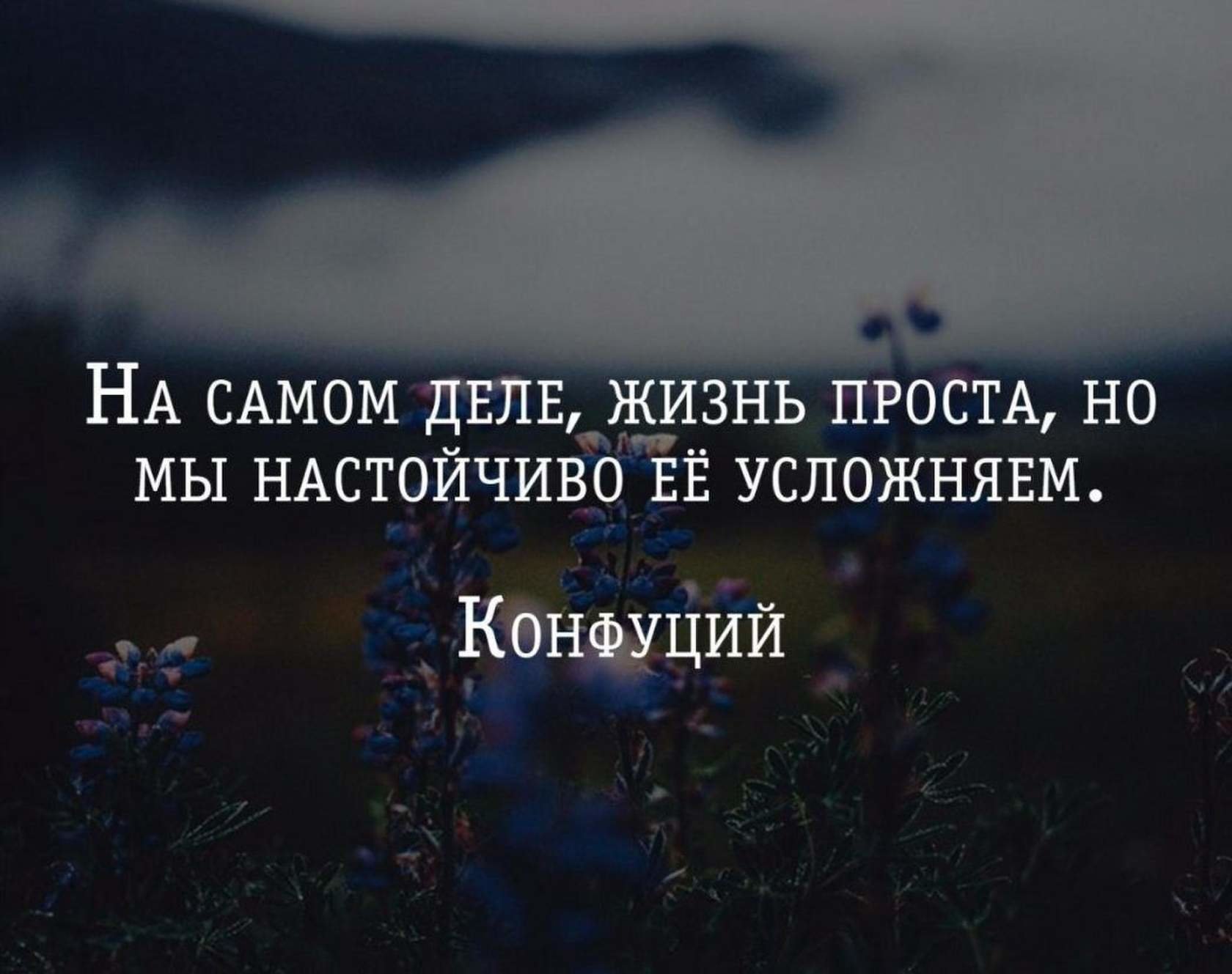 Высказывания из нескольких слов. Цитаты со смыслом. Фразы о жизни. Цитаты про жизнь. Красивые цитаты со смыслом.