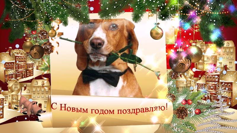 Картинки поздравления с новым годом 2018 собаки:  картинки
