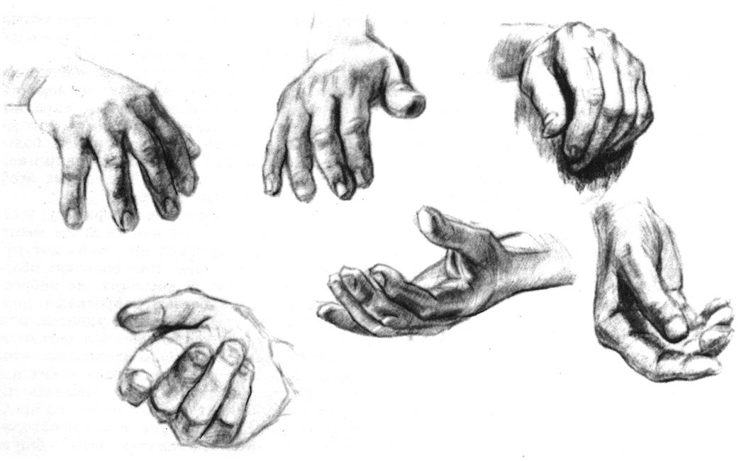 Рука мужчины рисунок