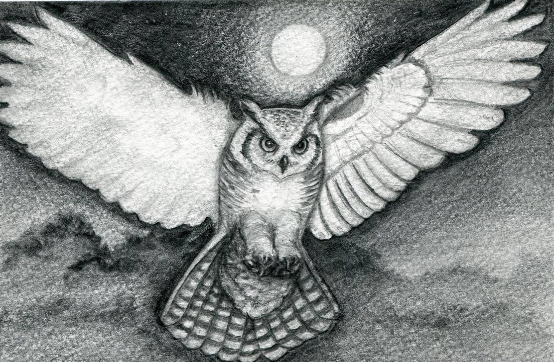 Сова летит рисунок