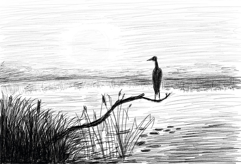 Рисунок черного озера. Пейзаж карандашом. Рисунки карандашом природа. Рисунки для срисовки природа. Пейзаж рисунок карандашом.
