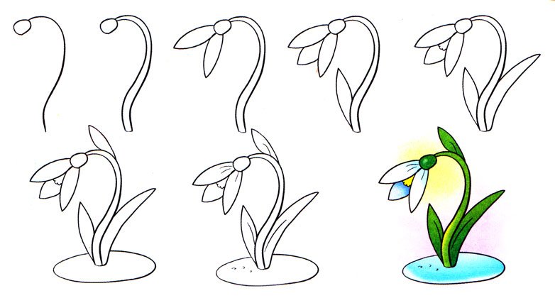 Как нарисовать цветок карандашом поэтапно для начинающих?