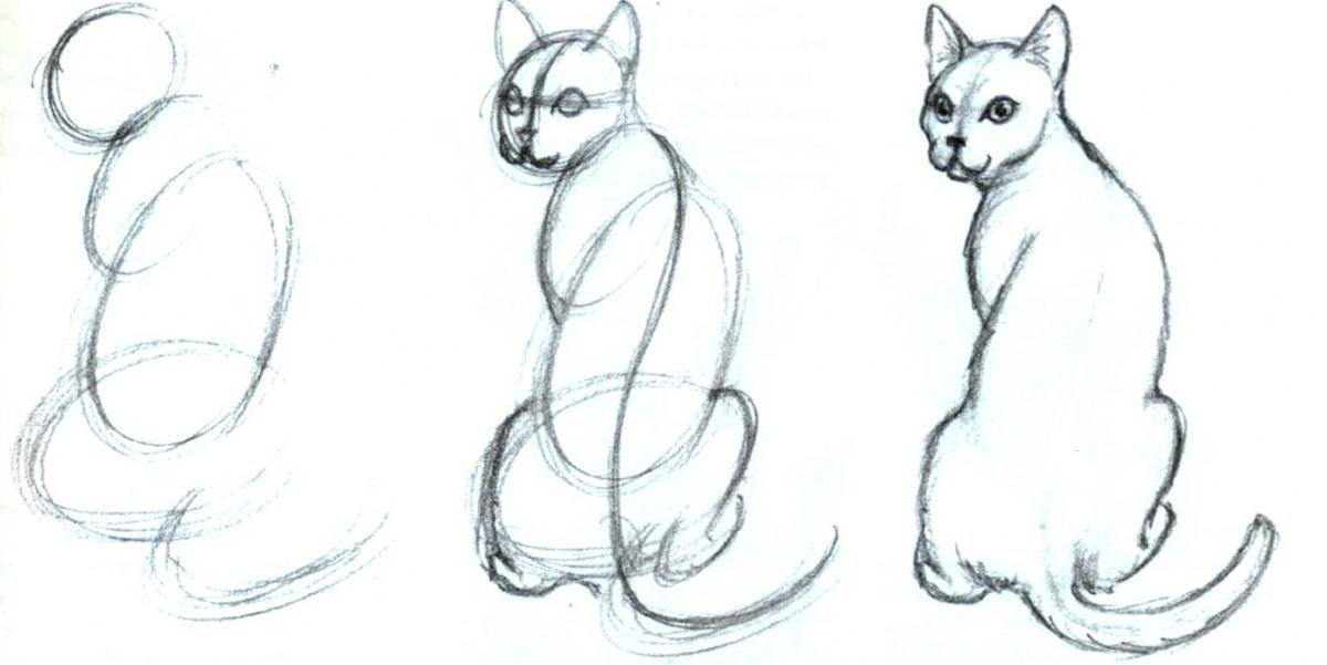Картинки Кошек Рисовать