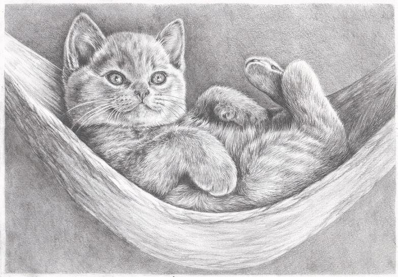 Рисунок это изображение