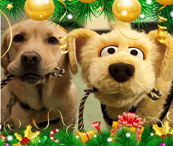 Картинки поздравления с новым годом 2018 собаки:  картинки