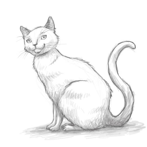 Несложный рисунок кота