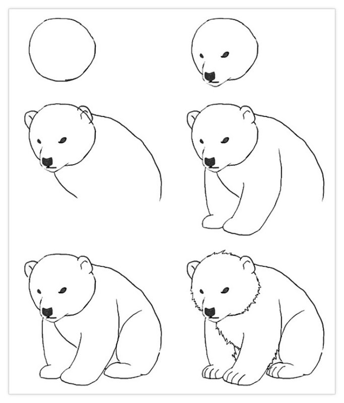 Рисунок карандашом поэтапно
